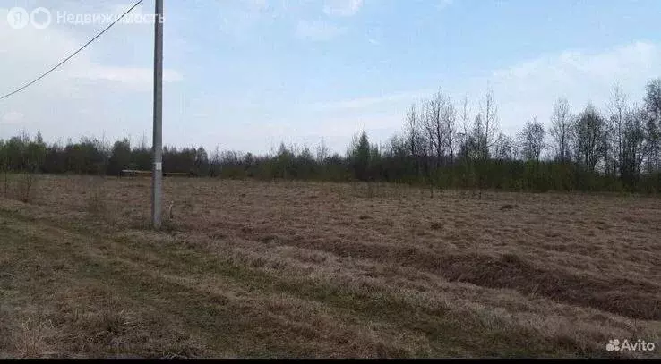 Участок в Ракомское сельское поселение, деревня Медвежья Голова, ... - Фото 0