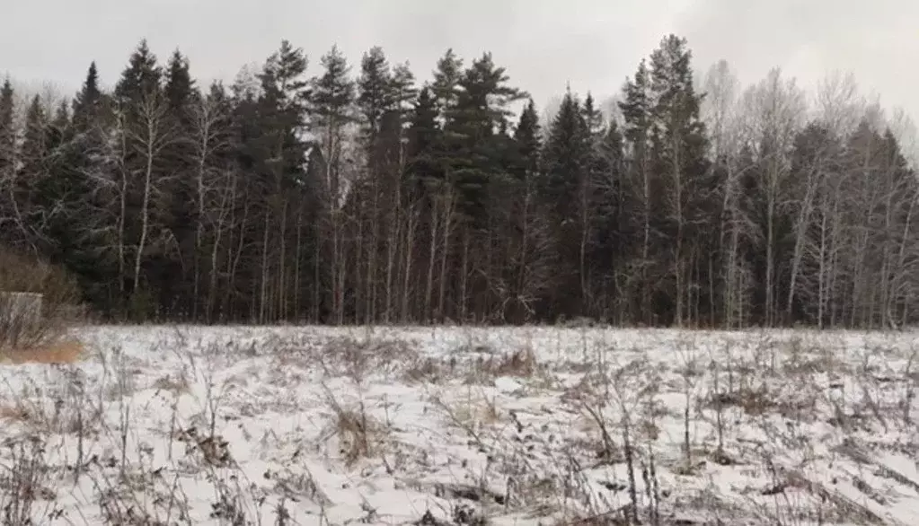 Участок в Московская область, Щелково городской округ, д. Костыши ул. ... - Фото 1