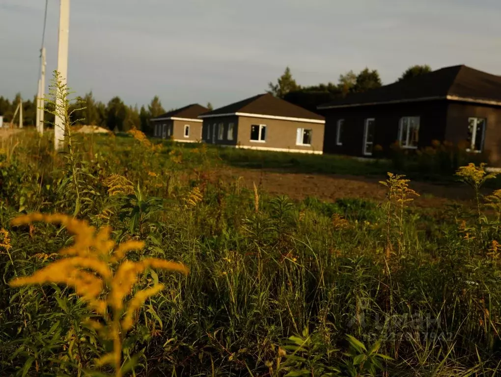 Участок в Тульская область, Веневский муниципальный округ, ... - Фото 2