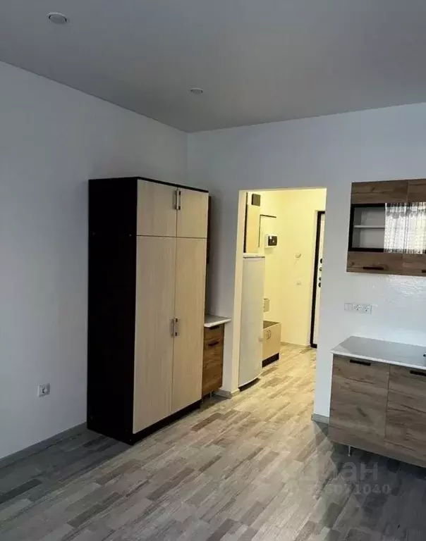 Студия Санкт-Петербург пос. Шушары, просп. Старорусский, 8к2 (24.0 м) - Фото 2