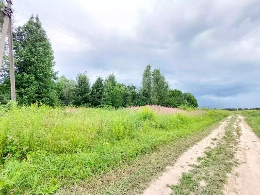 Участок в Калужская область, Юхновский район, Щелканово с/пос, д. ... - Фото 1