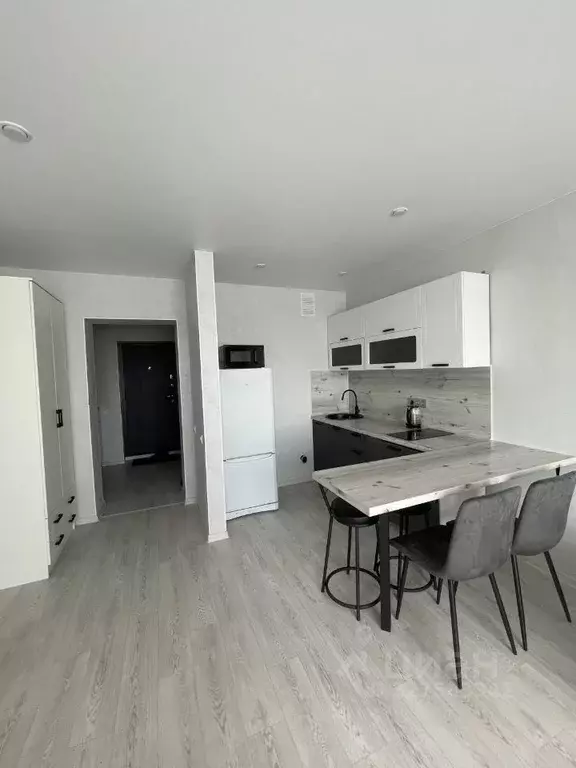 Студия Амурская область, Благовещенский район, с. Чигири Восточная ... - Фото 1