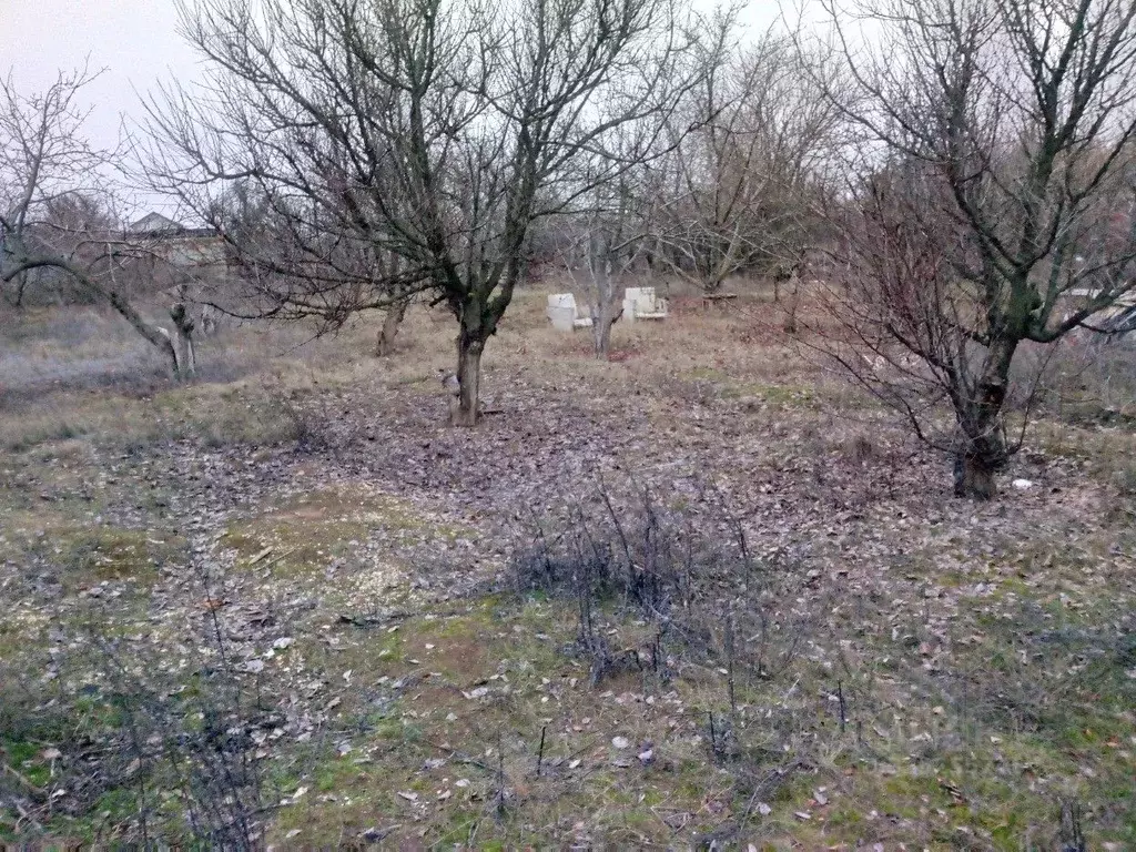 Участок в Волгоградская область, Волгоград бул. Сиреневый (9.9 сот.) - Фото 2