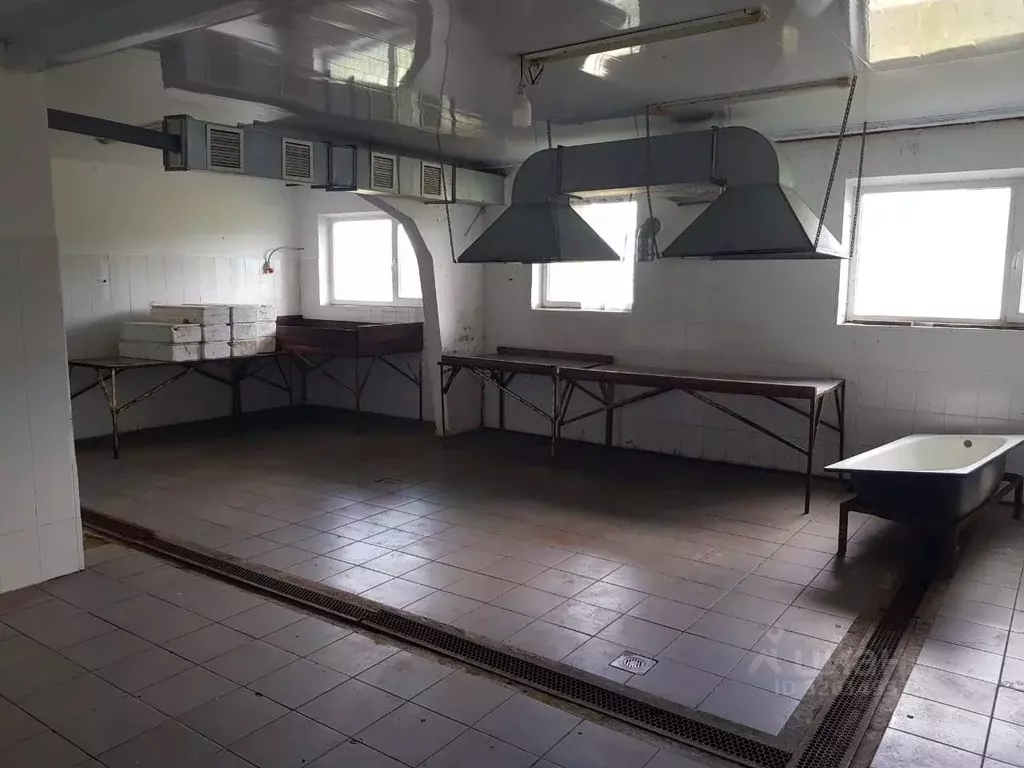 Помещение свободного назначения в Краснодарский край, Северский район, ... - Фото 1