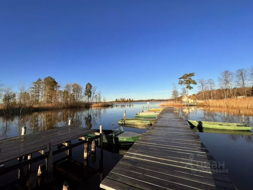 Участок в Ленинградская область, Приозерский район, Ларионовское ... - Фото 2