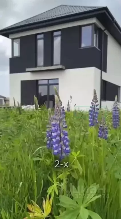 Коттедж в Калининградская область, Зеленоградский муниципальный округ, ... - Фото 2