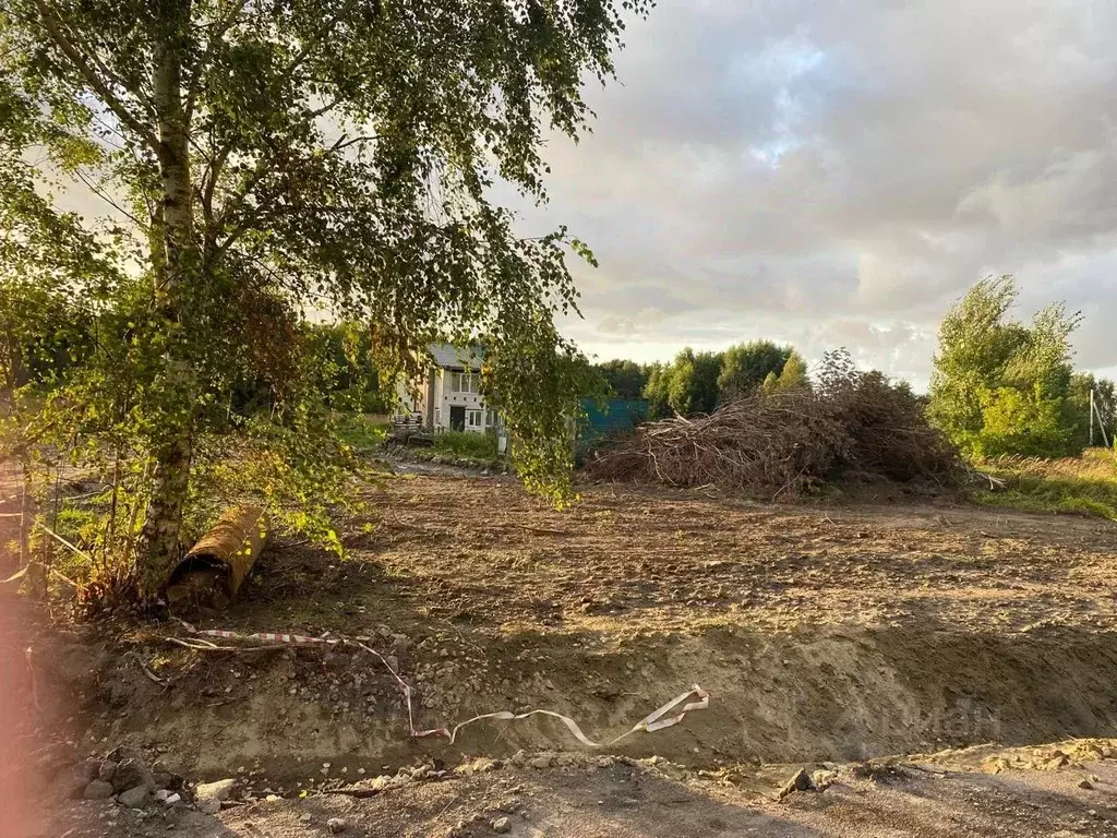 Участок в Калининградская область, Зеленоградский муниципальный округ, ... - Фото 2