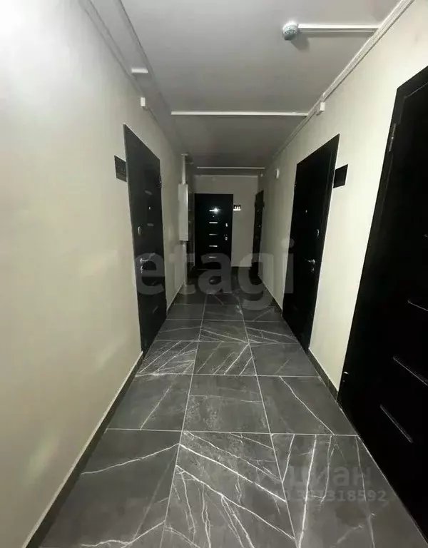 Студия Алтайский край, Барнаул ул. Никитина, 10 (20.3 м) - Фото 2