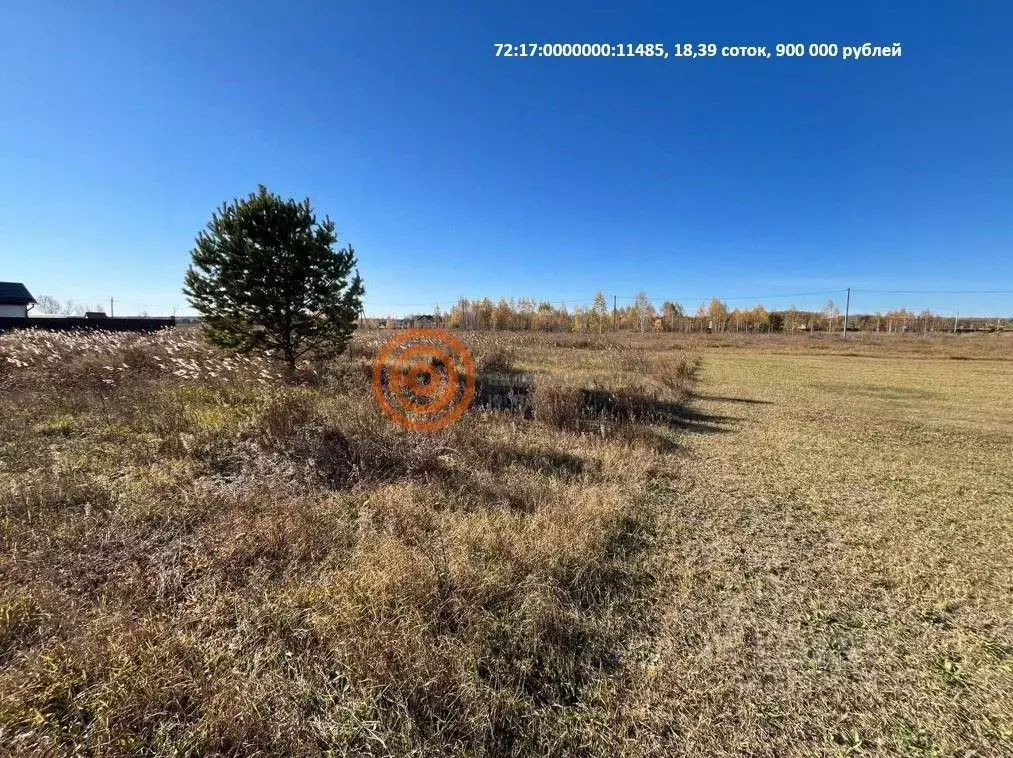 Участок в Тюменская область, Тюменский муниципальный округ, Озеро ... - Фото 1