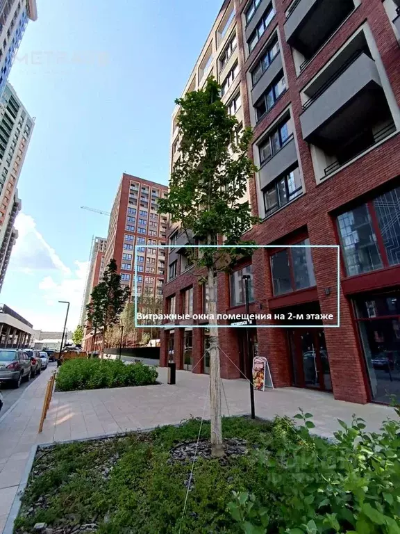 Помещение свободного назначения в Новосибирская область, Новосибирск ... - Фото 2