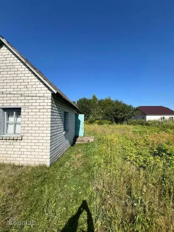 Дом в Брянская область, Брянский район, Добрунское с/пос, д. Добрунь, ... - Фото 0