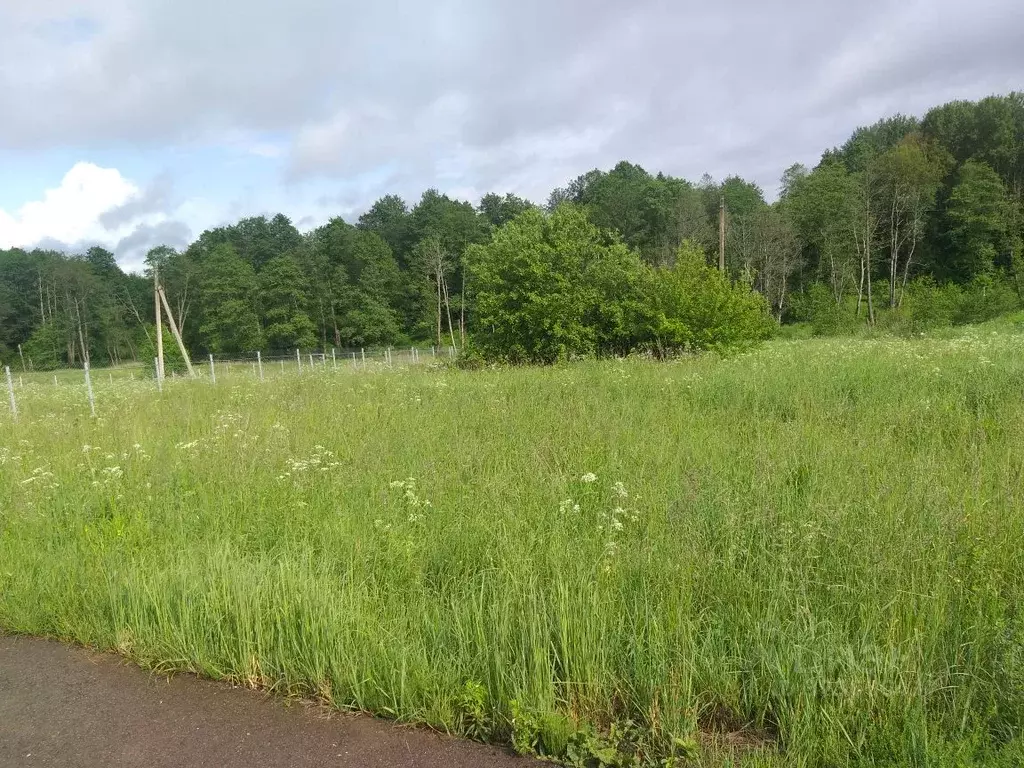 Участок в Москва д. Дмитровка,  (8.57 сот.) - Фото 2