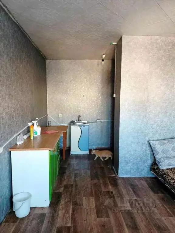 Комната Пензенская область, Пенза ул. Литвинова, 27 (17.8 м) - Фото 2