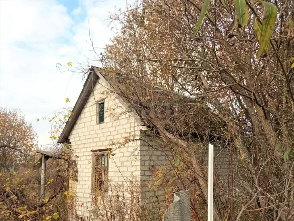 Дом в Брянская область, Брянский район, Добрунское с/пос, д. Добрунь, ... - Фото 1