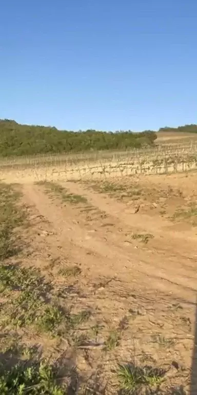 Участок в Краснодарский край, Анапа муниципальный округ, с. Супсех ул. ... - Фото 2