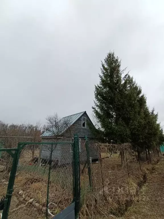 Участок в Москва Осинка СНТ, 38 (6.04 сот.) - Фото 1