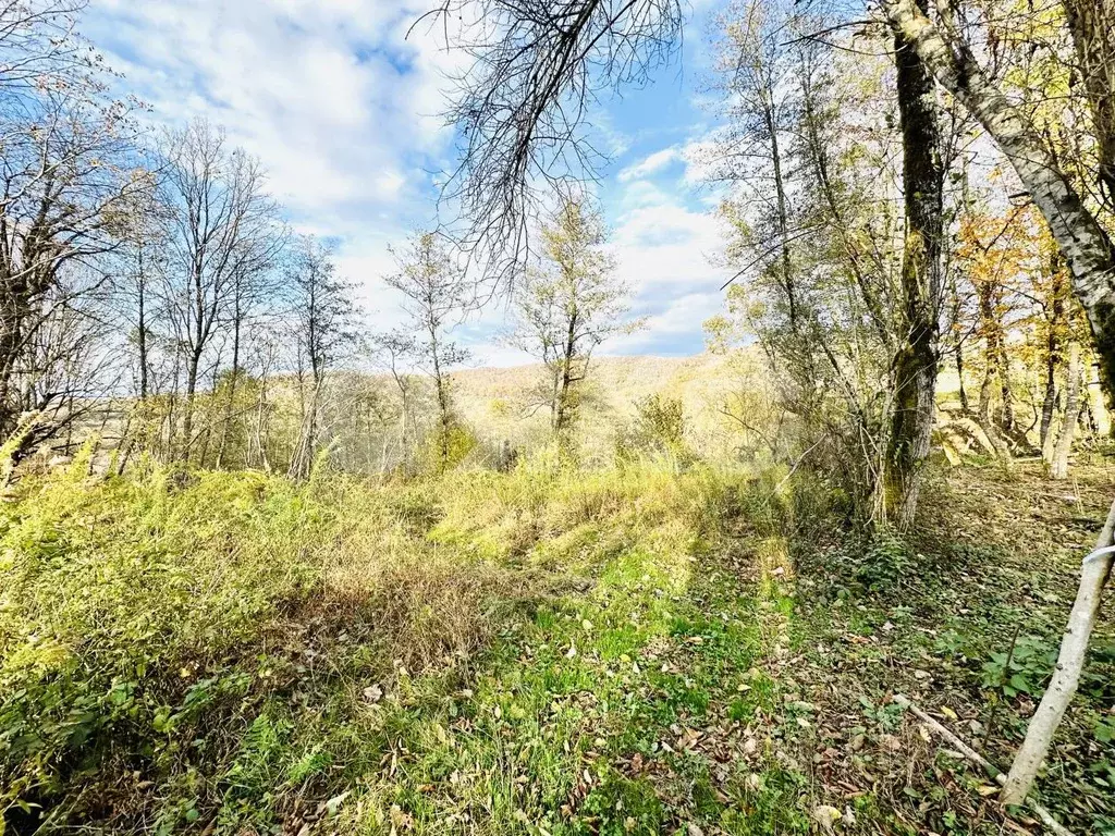 Участок в Краснодарский край, Сочи городской округ, с. Вардане-Верино, ... - Фото 0