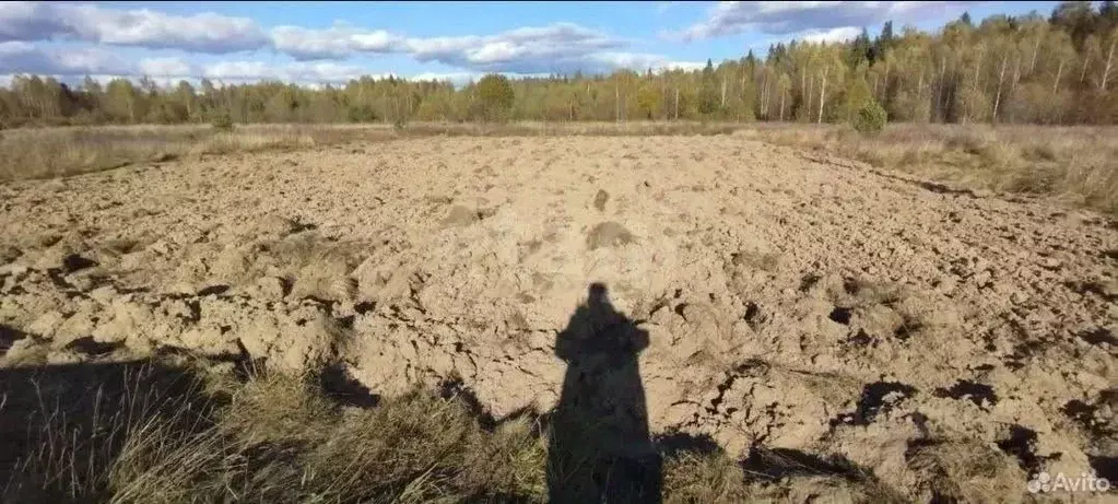 Участок в Костромская область, Судиславский муниципальный округ, ... - Фото 1