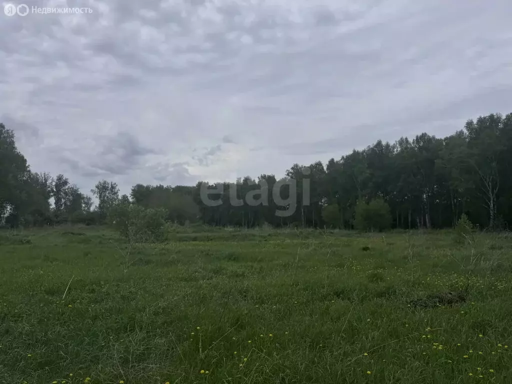 Участок в село Ягуново, Школьная улица (11.35 м) - Фото 1