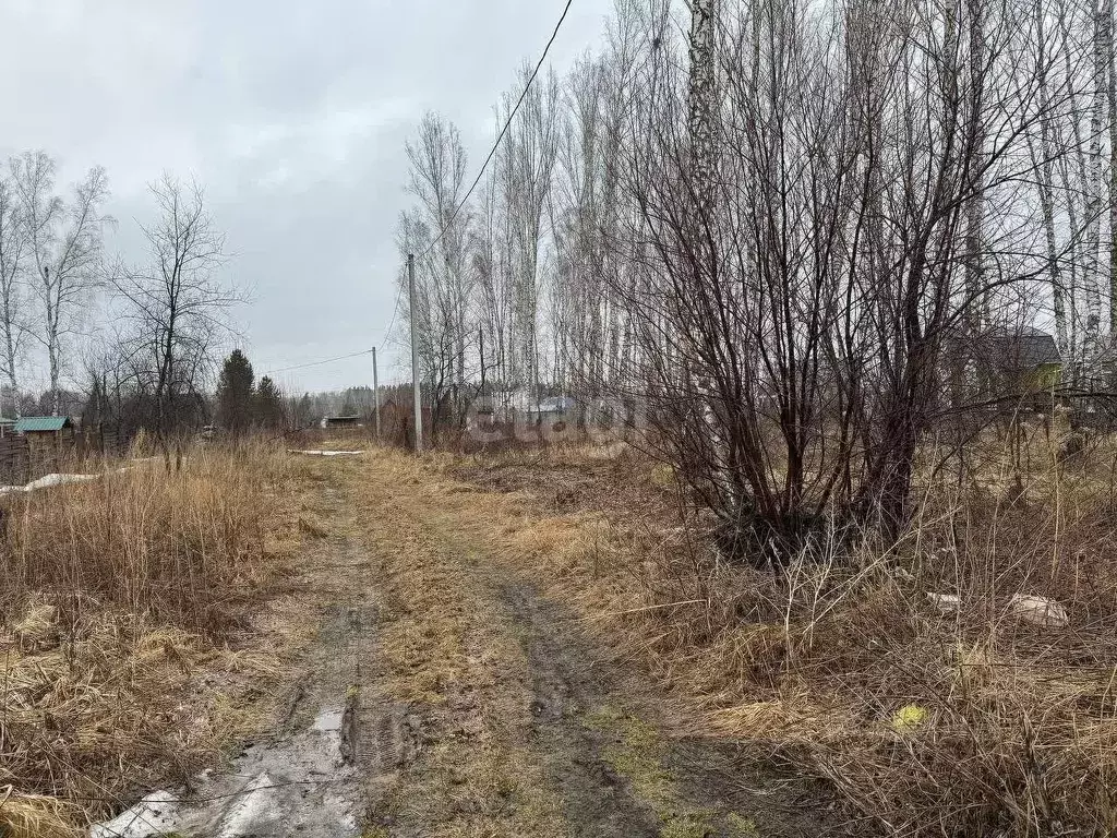 Участок в Новосибирская область, Новосибирский район, Березовский ... - Фото 0