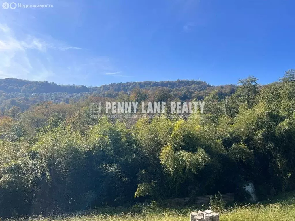 Участок в Краснодарский край, городской округ Сочи, село Каштаны, СНТ ... - Фото 2