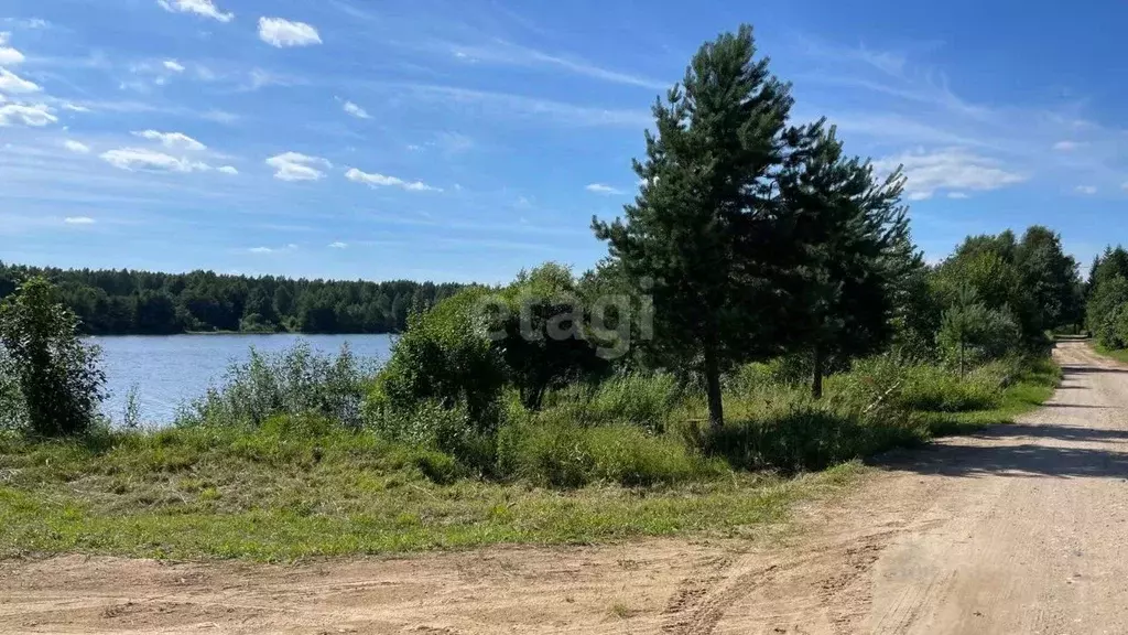 Участок в Вологодская область, Устюженский район, д. Глины  (10.0 ... - Фото 0