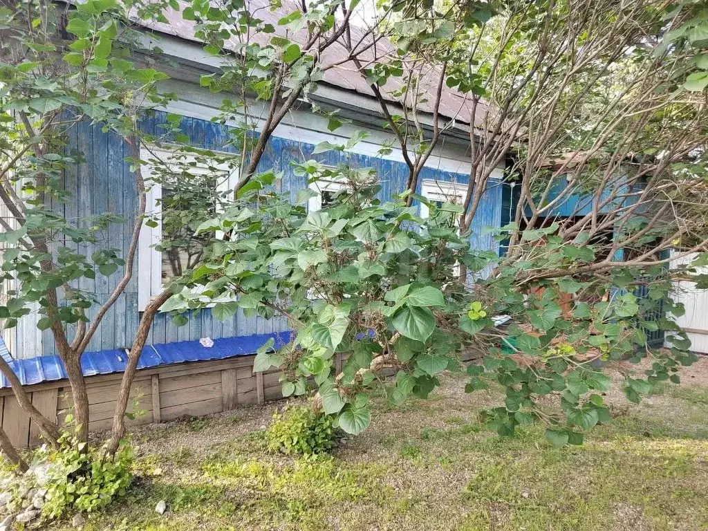 Дом в Амурская область, Свободный Рабоче-Крестьянская ул., 66 (30 м) - Фото 0