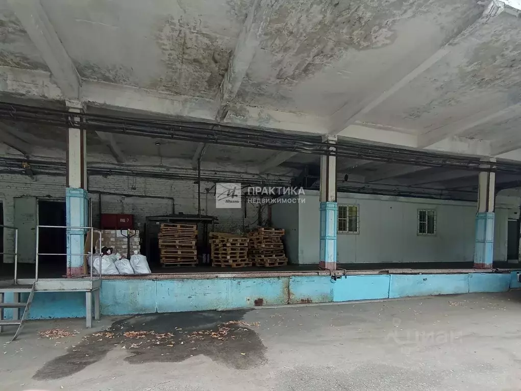Склад в Московская область, Ногинск Богородский городской округ, ул. ... - Фото 2