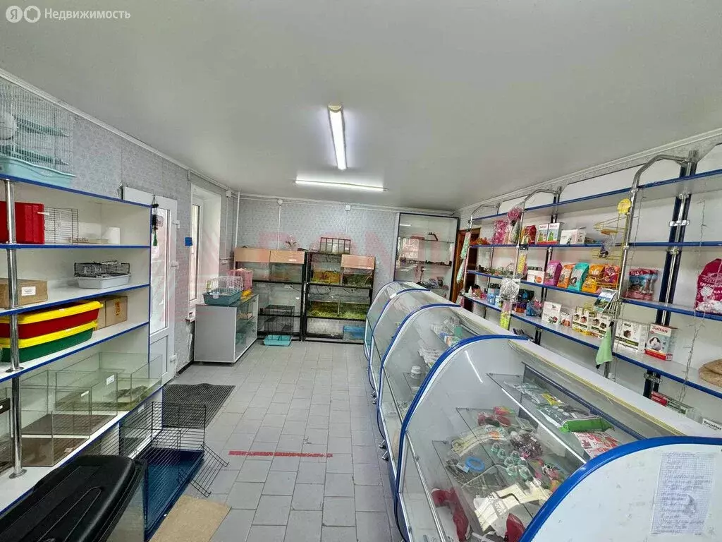 Помещение свободного назначения (43 м) - Фото 1