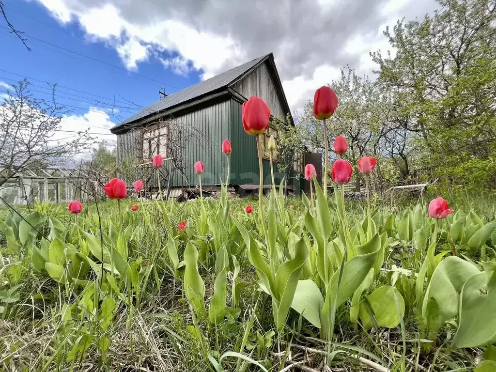 Дом в Тульская область, Тула Урожай дп, 9 (40 м) - Фото 1