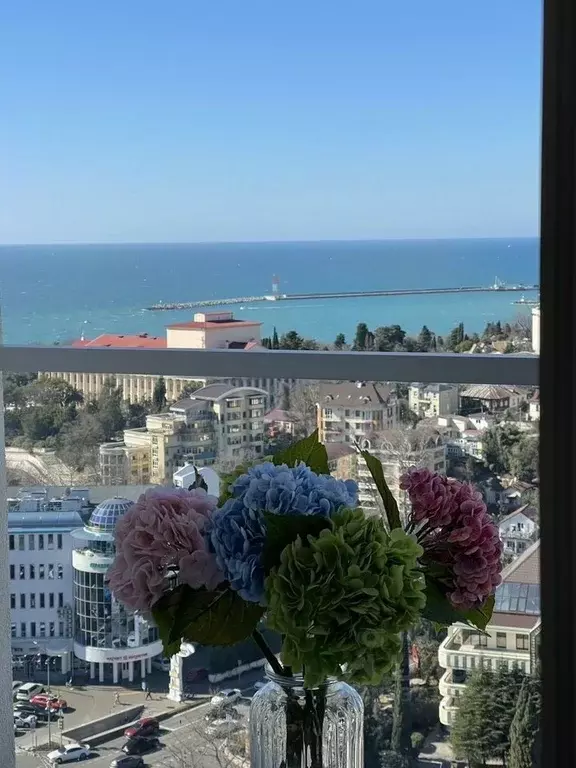 1-к кв. Краснодарский край, Сочи Светлана мкр, ул. Депутатская, 10 ... - Фото 2