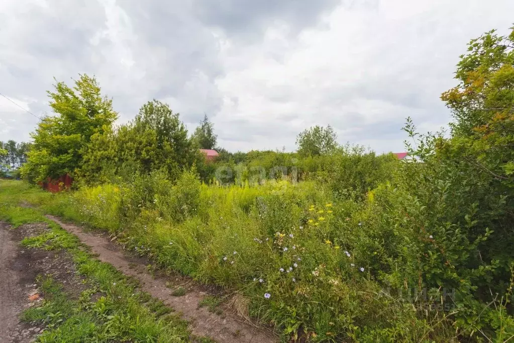 Участок в Башкортостан, Уфимский район, Булгаковский сельсовет, ... - Фото 1