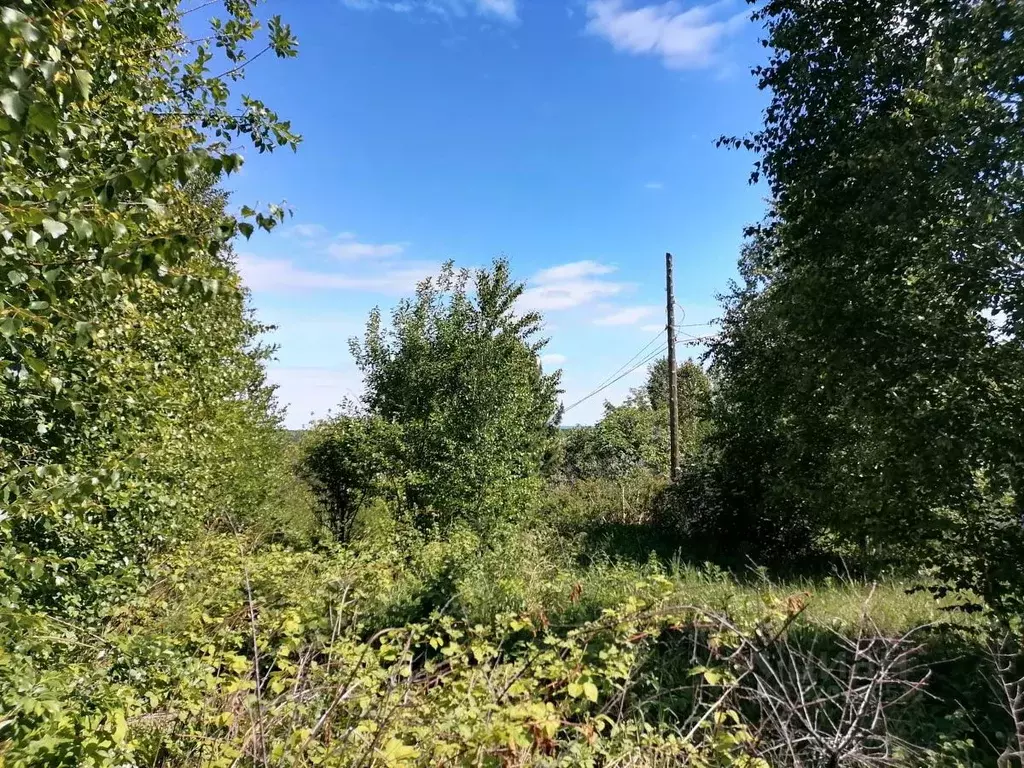 Участок в Кемеровская область, Кемеровский район, Химик-2 СДТ  (6.0 ... - Фото 0
