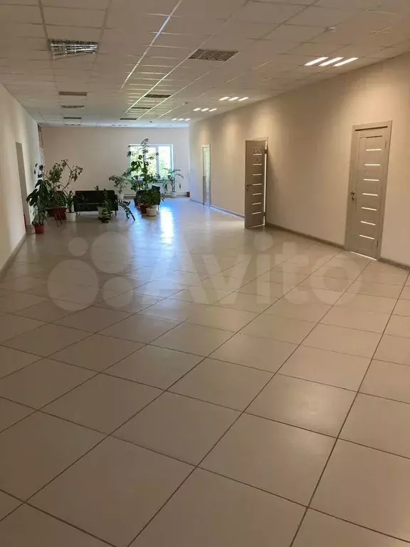 Свободного назначения, 10 м - Фото 0