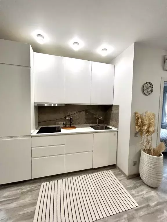 1-к кв. Краснодарский край, Сочи городской округ, Дагомыс пгт ул. ... - Фото 1