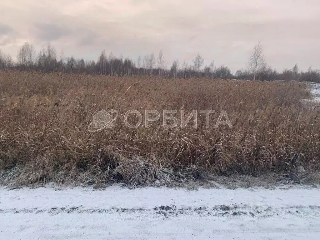 Участок в Тюменская область, Тюмень ул. Чимеевская (220.0 сот.) - Фото 0