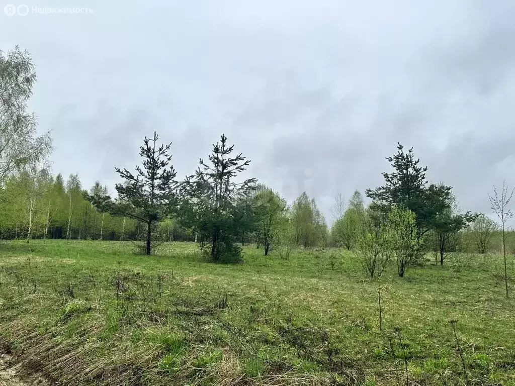 Участок в Ярославская область, Переславль-Залесский муниципальный ... - Фото 0