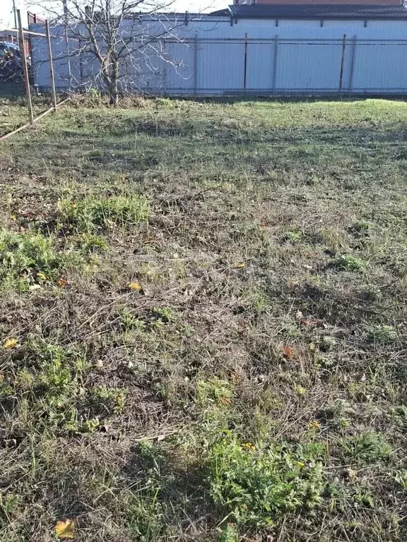 Участок в Ростовская область, Аксайский район, Большелогское с/пос, ... - Фото 2