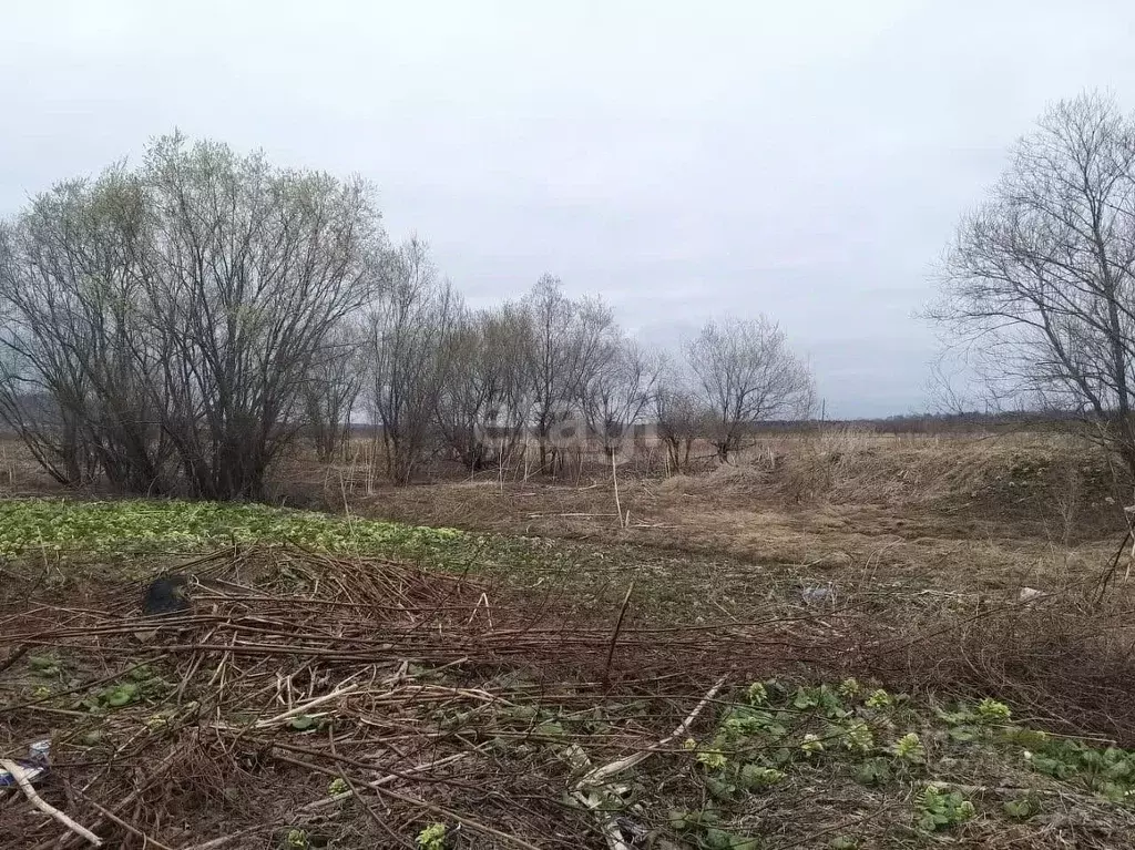 Участок в Сахалинская область, Анивский городской округ, с. ... - Фото 0