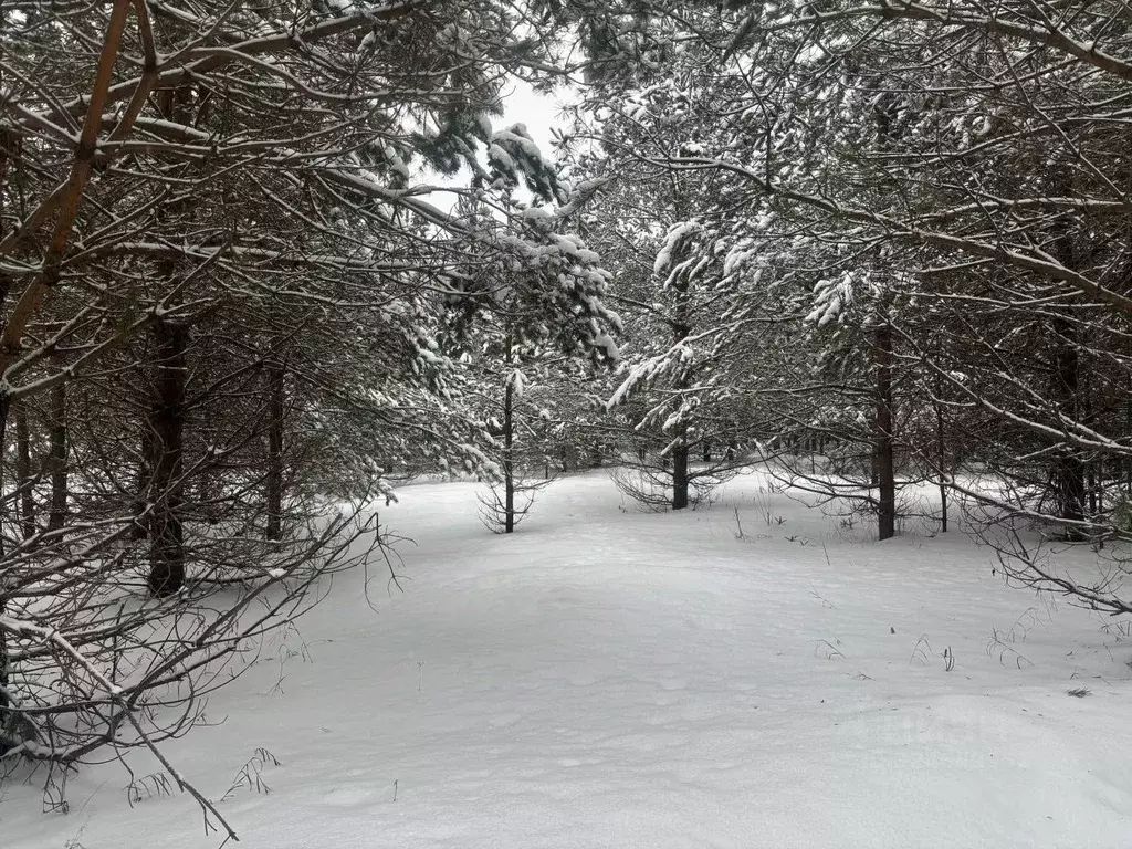 Участок в Кировская область, Слободской район, Шиховское с/пос, д. ... - Фото 2