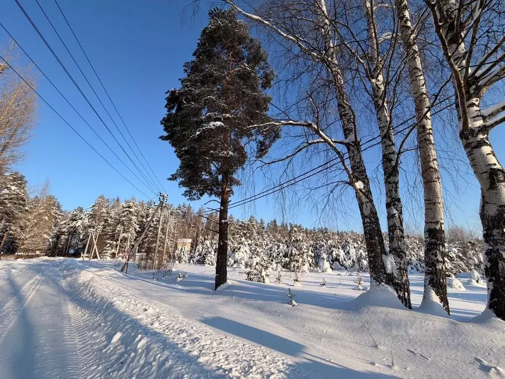 Участок в Ярославская область, Ярославский муниципальный округ, с. ... - Фото 1