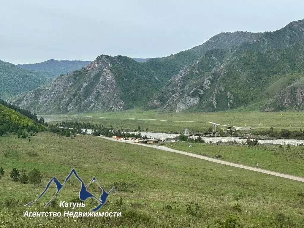 Участок в Алтай, Чемальский район, с. Куюс Центральная ул. (12.05 ... - Фото 0