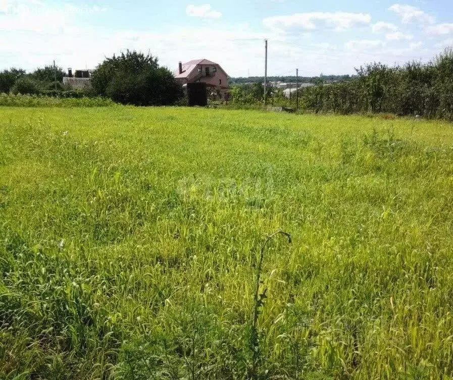 Участок в Калининградская область, Зеленоградский муниципальный округ, ... - Фото 1