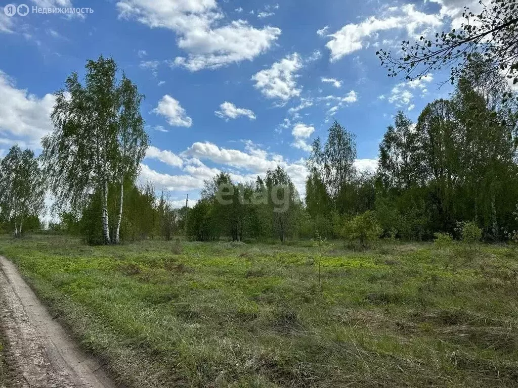 Участок в Нижегородская область, Кстовский муниципальный округ, село ... - Фото 0