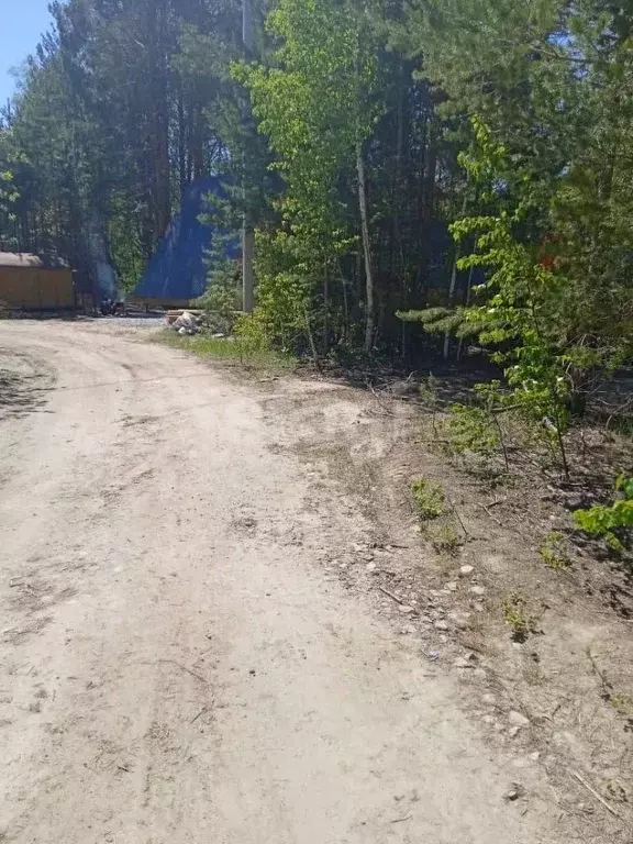 Участок в Свердловская область, Заречный муниципальный округ, д. ... - Фото 1