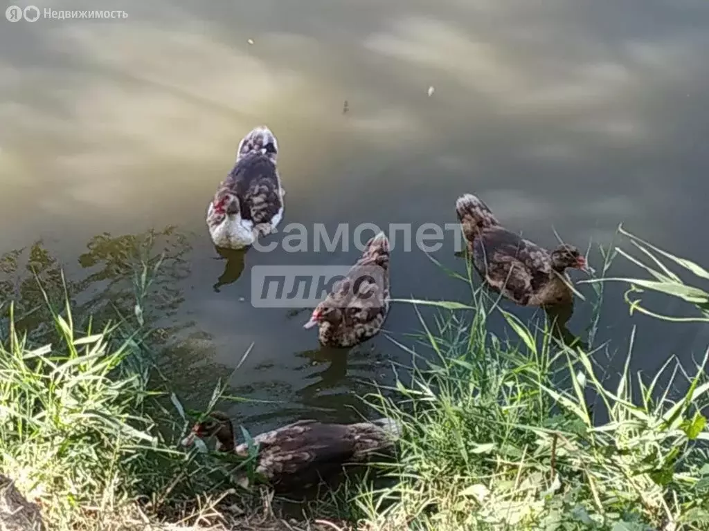 Участок в Грозный, 2-й переулок Яхиханова (30 м) - Фото 0