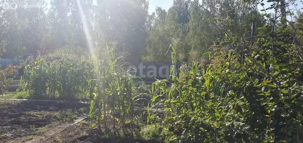Участок в Озерск, СНТ № 7 Южное (7.5 м) - Фото 0