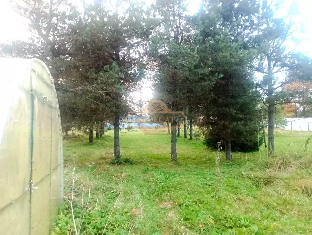 Участок в Лисинское сельское поселение, деревня Ёглино, Большая улица ... - Фото 1