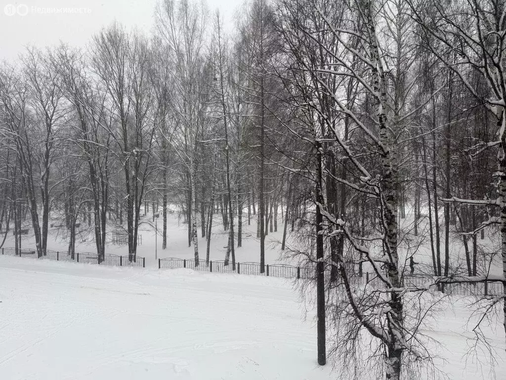 2-комнатная квартира: посёлок городского типа Мурыгино, Фестивальная ... - Фото 1