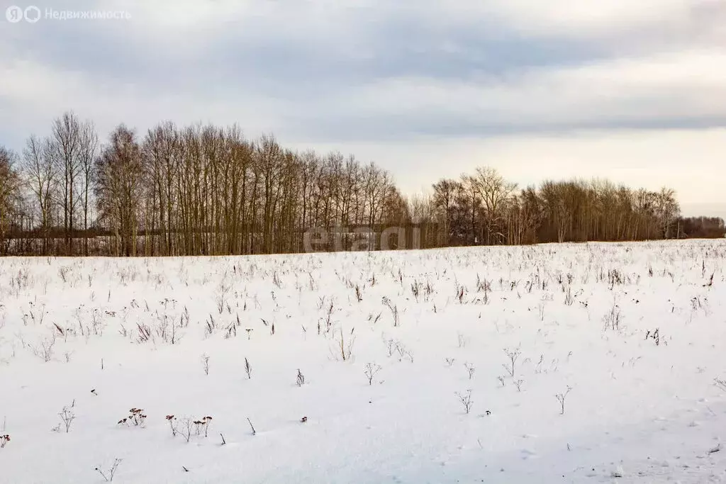Участок в Тюменская область, Ярковский муниципальный округ, село ... - Фото 2